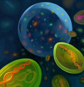 MIT scientists discovered an amazing amount of diversity among a population of marine microbes living in a few drops of water. Each subpopulation of the marine microbe Prochlorococcus is characterized by a shared genomic "backbone." The figurative backbones are depicted in this artist's rendering. Image: Carly Sanker/MIT