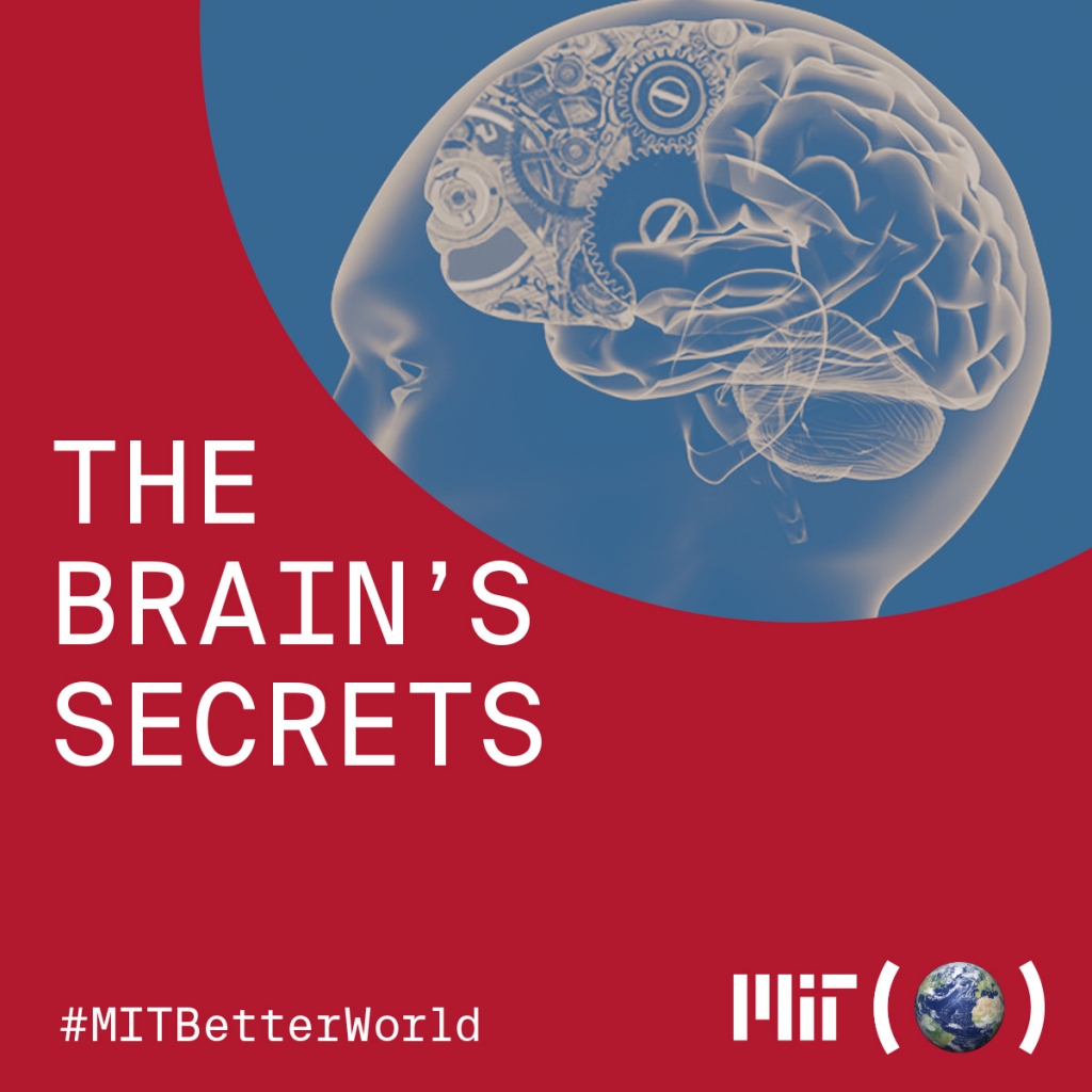 The Brains Secrets 1200 Mit For A Better World