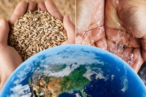 stock photo of world, food, water. Image: MIT News