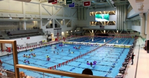 screenshot of MIT swimming pool