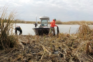 Nepf (in orange jacket) works with colleagues from the Water Institute of the Gulf at the field site of Cubit’s Gap, in the delta of the Mississippi River. Photo: Christopher Esposito