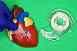 A heart and tape. Image: Courtesy of the researchers