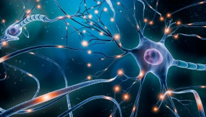 Neuronal network with electrical activity of neuron cells 3D rendering illustration.