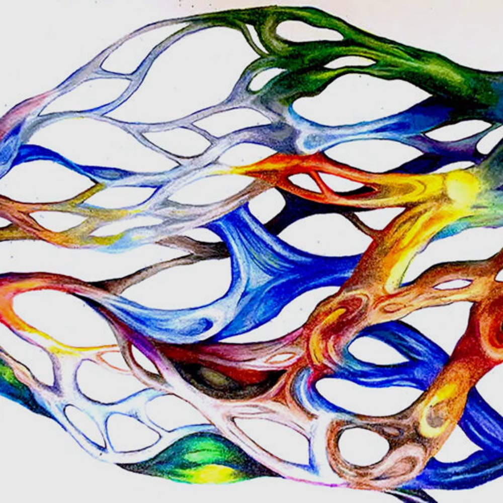 Image of colorful, neuron-like art.