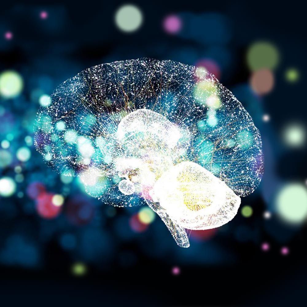 Image of a stylized brain illustration on a dark, amorphous background.