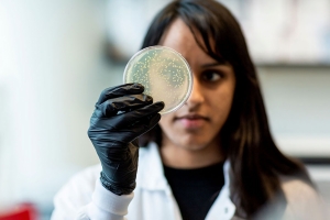 A woman wearing a lab coat and black gloves looks through a glass petri dish