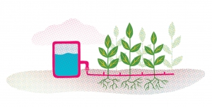 illustration of drip irrigation system