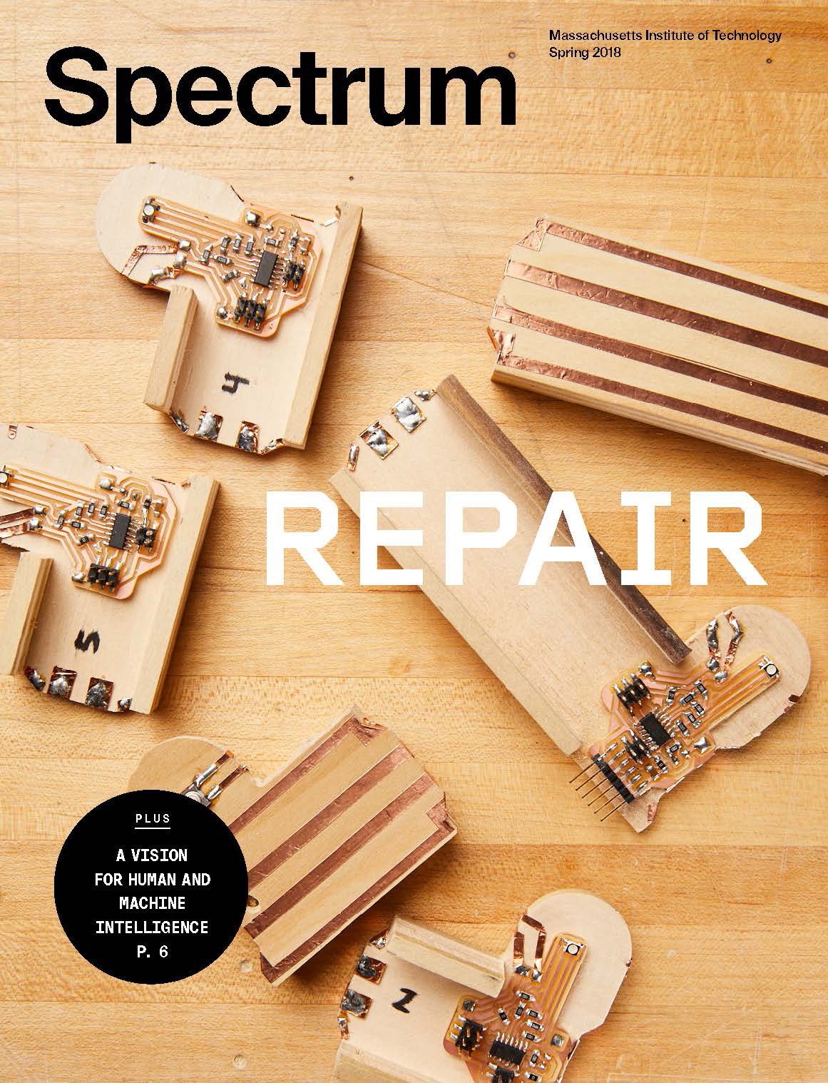 Cover of the Spring 2018 issue of Spectrum magazine featuring five wooden tools on a wood table