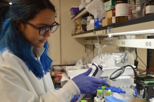 Mini-UROP participant Iraira Rivera Rojas works in the Marelli Lab.