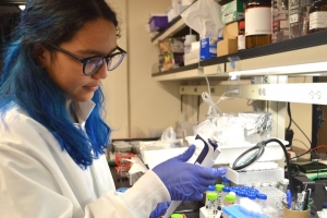 Mini-UROP participant Iraira Rivera Rojas works in the Marelli Lab.